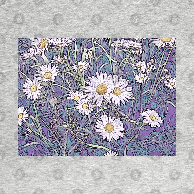 Wildflower Daisies in Field of Purple and Teal by ConniSchaf